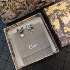 Christian Dior Earrings